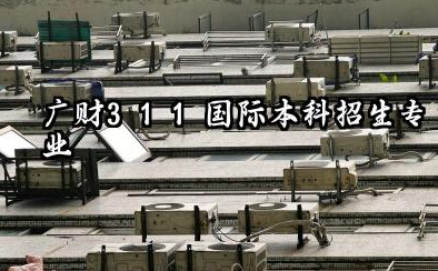2026广财3+1+1国际本科专业有哪些 广财3+1+1国际本科收费标准