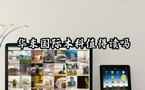 华东国际本科值得读吗 2026入学要求是什么