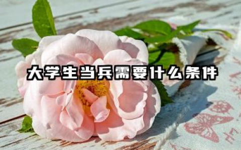 大学生当兵需要什么条件 2026年大学生征兵身体条件要求