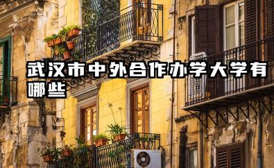 武汉市中外合作办学大学有哪些 武汉市中外合作办学大学哪个最好
