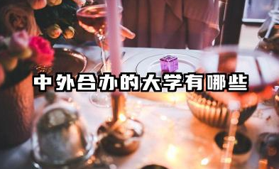 中外合办的大学有哪些 中外合办的大学学费一年多少钱