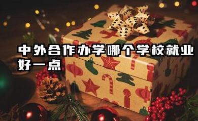 一共有多少中外合作办学 2026中外合作办学哪个学校就业好一点