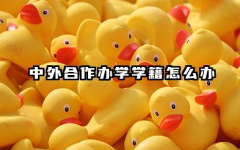 2026中外合作办学学籍怎么办 国内学籍如何查询