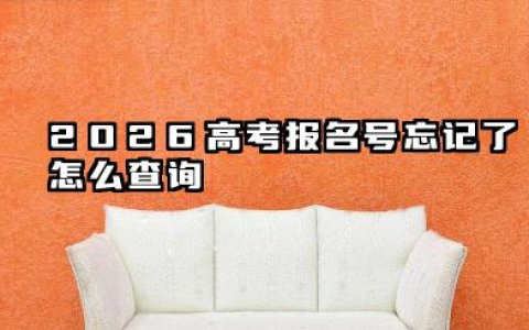 2026高考报名号忘记了怎么查询 2026高考报名号的用处是什么