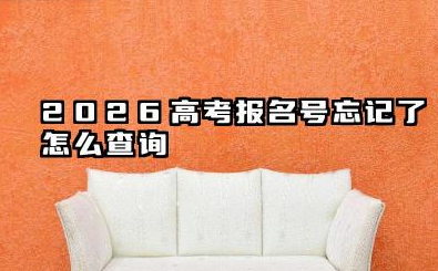 2026高考报名号忘记了怎么查询 2026高考报名号的用处是什么