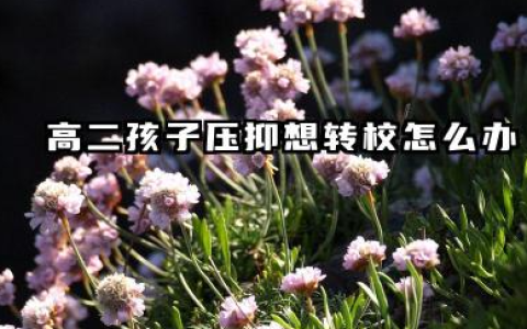 高二孩子压抑想转校怎么办 2026年高中转校所需的材料