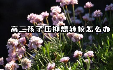 高二孩子压抑想转校怎么办 2026年高中转校所需的材料