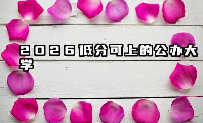 2026低分可上的公办大学 低分报考院校策略与技巧
