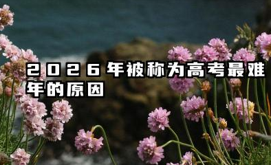 2026为什么被称为高考最难年 怎么备战2026年高考