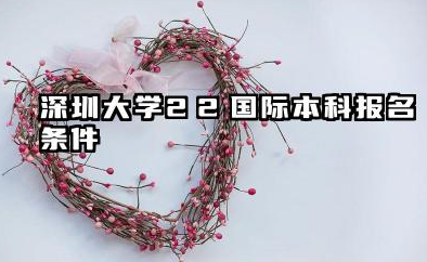 2026深圳大学2+2国际本科怎么报考 深圳大学2+2国际本科怎么报考