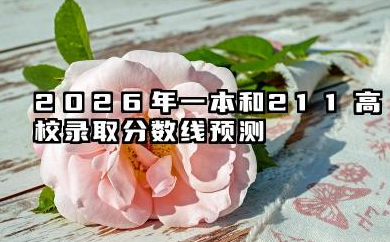 一本厉害还是211厉害 2026年一本和211高校录取分数线预测