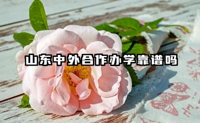 山东中外合作办学靠谱吗 2026好就业的专业有哪些