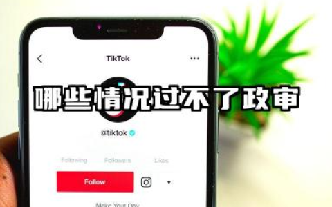 哪些情况过不了政审 2026政审核心范围