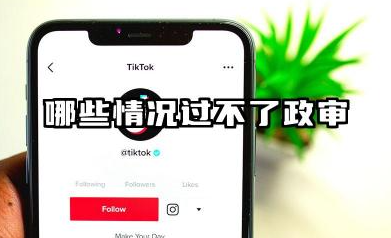 哪些情况过不了政审 2026政审核心范围