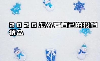 2026怎么看自己的投档状态 2026投档状态公布时间