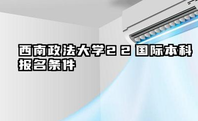 2026西南政法大学2+2国际本科报名条件是什么