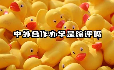 中外合作办学是综评吗 2026中外合作办学综评怎么准备报名考试