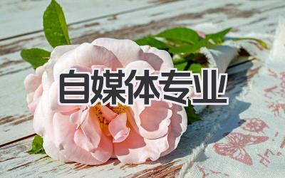 自媒体专业 自媒体相关专业有哪些及就业前景