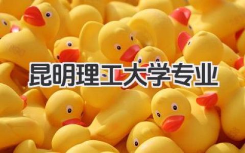 昆明理工大学专业 昆明理工大学开设专业