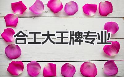 合工大王牌专业 合肥工业大学王牌专业