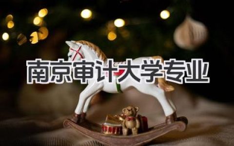 南京审计大学专业 南京审计大学王牌专业有哪些