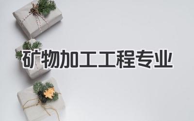 矿物加工工程专业 矿物加工工程专业就业前景