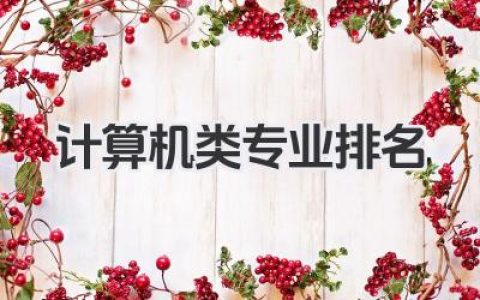 计算机类专业排名 全国计算机类专业排名