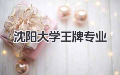 沈阳大学王牌专业 沈阳大学优势王牌专业