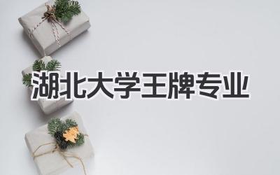 湖北大学王牌专业 湖北大学重点建设专业