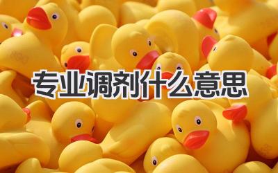 专业调剂什么意思 大学专业调剂规则解读