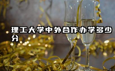 理工大学中外合作办学多少分 2026理工大学中外合作办学哪个学校好