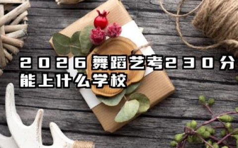 2026舞蹈艺考230分能上什么学校 230分考生的院校选择策略与备考建议