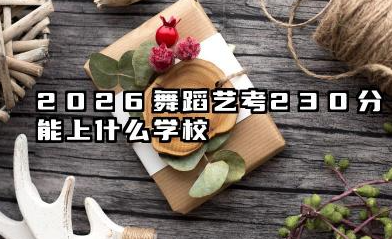2026舞蹈艺考230分能上什么学校 230分考生的院校选择策略与备考建议