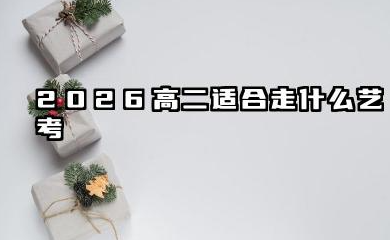 2026高二适合走什么艺考 不同学生的艺考选择与备考规划