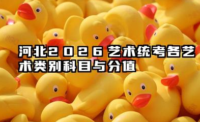 河北2026艺术统考考试科目及分值分布 河北2026艺术统考分值分布导向