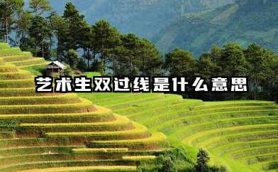 2026艺术生双过线是哪两条线 艺术文化双过线录取可能性大吗