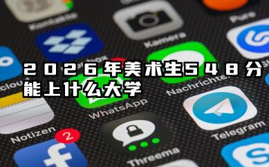 2026各省美术生548分左右可上什么院校?548分最好30所学校能报几本大学