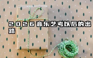 2026音乐艺考以后的出路 未来发展如何