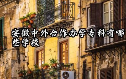 2026安徽中外合作办学专科有哪些学校 安徽中外合作办学专科哪个学校好考