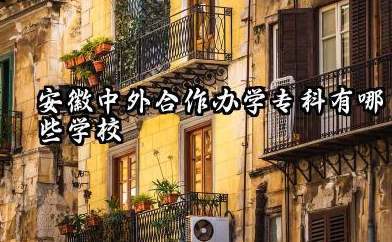 2026安徽中外合作办学专科有哪些学校 安徽中外合作办学专科哪个学校好考