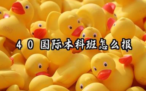 4+0国际本科班怎么报 4+0国际本科班需要什么材料