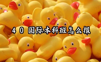 4+0国际本科班怎么报 4+0国际本科班需要什么材料