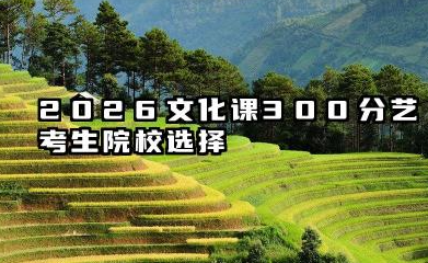 2026艺考生文化课300分能上什么学校 2026文化课300分志愿填报策略