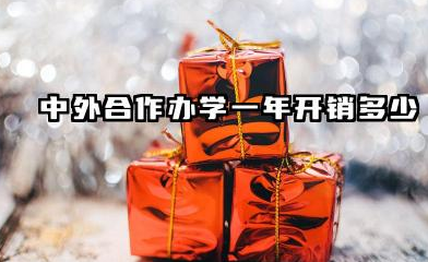 中外合作办学一年开销多少 2026中外合作办学开销大值得报考吗