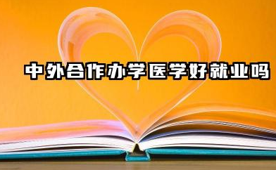 2026中外合作办学医学好就业吗 2026中外合作办学医学哪个学校值得读