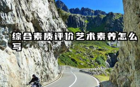 2026高中综评艺术素养怎么写 高中生艺术素养自我评价范文