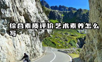 2026高中综评艺术素养怎么写 高中生艺术素养自我评价范文