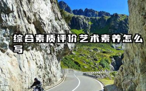 2026高中综评艺术素养怎么写 高中生艺术素养自我评价范文