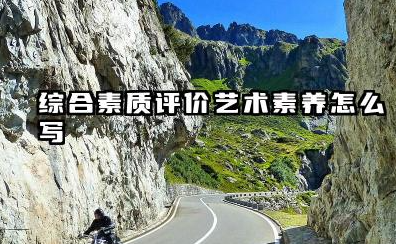 2026高中综评艺术素养怎么写 高中生艺术素养自我评价范文