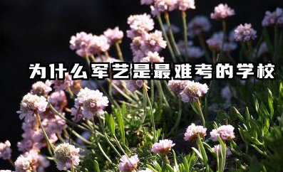 2026为什么军艺是最难考的学校 解放军艺术学院难吗